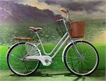 Xe đạp nữ Vicky L600 24